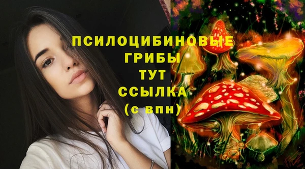 Альфа ПВП Алексеевка