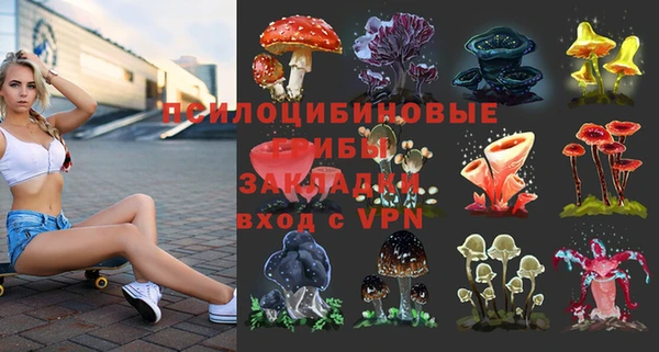 спиды Алзамай