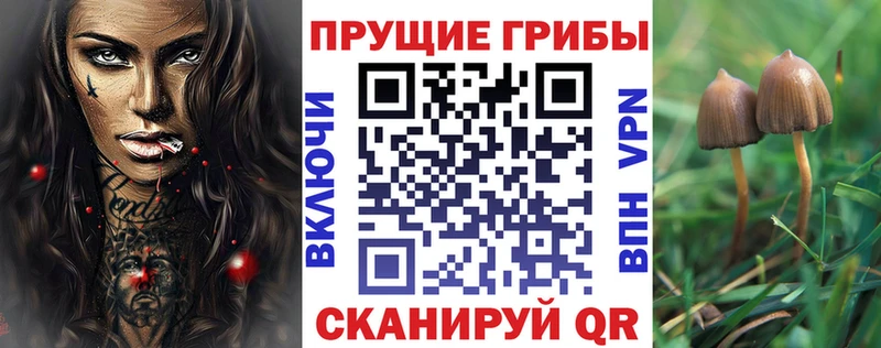 Галлюциногенные грибы MAGIC MUSHROOMS  блэк спрут рабочий сайт  Каргат 